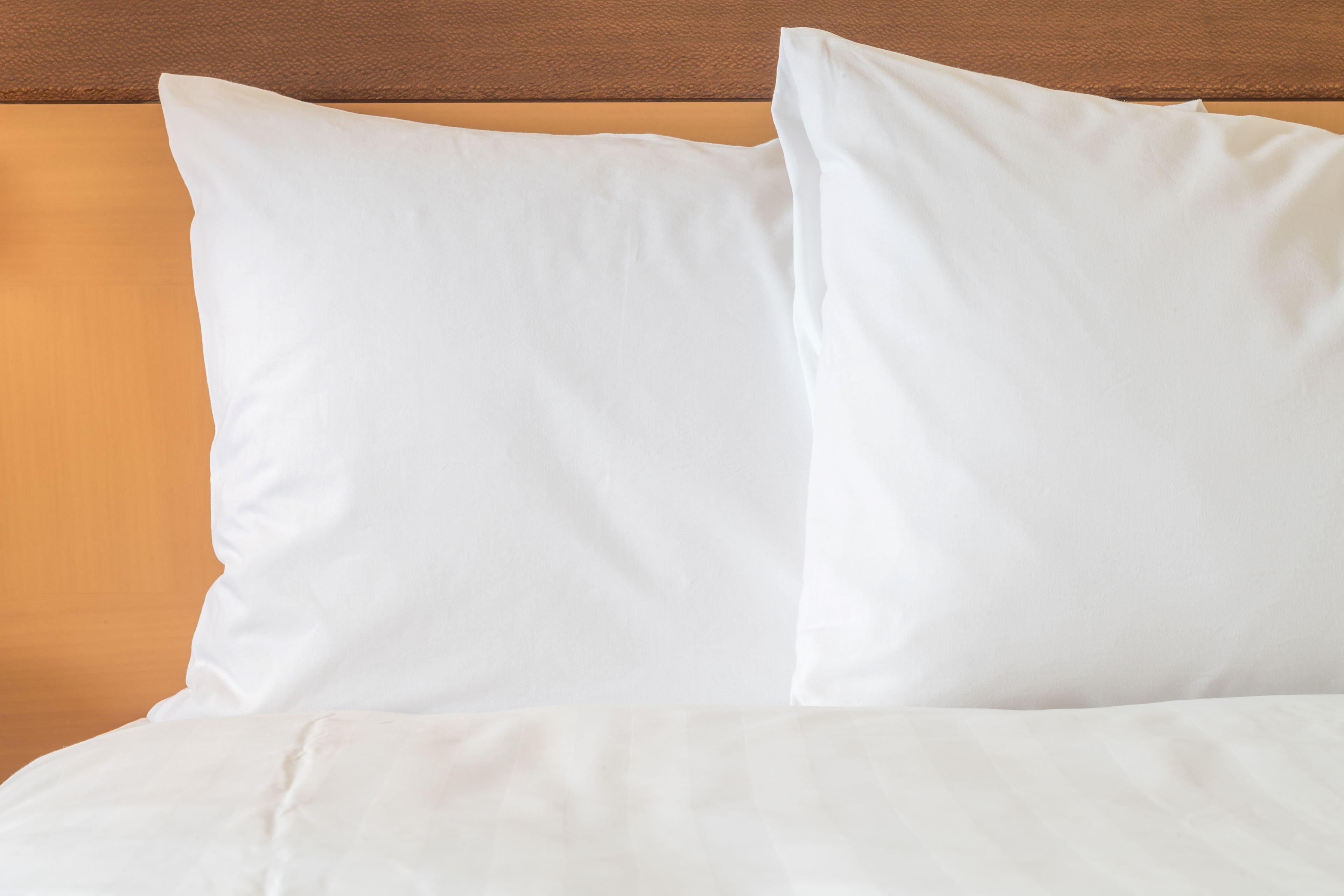 Holiday Inn Express St Croix Valley By Ihg Saint Croix Falls Buitenkant foto